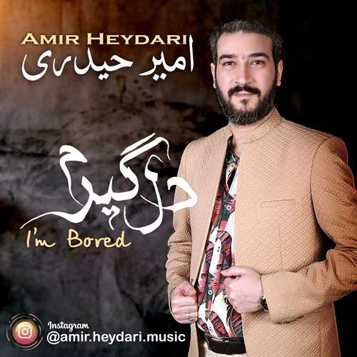امیر حیدری دلگیرم